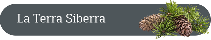 LA Terra Siberra